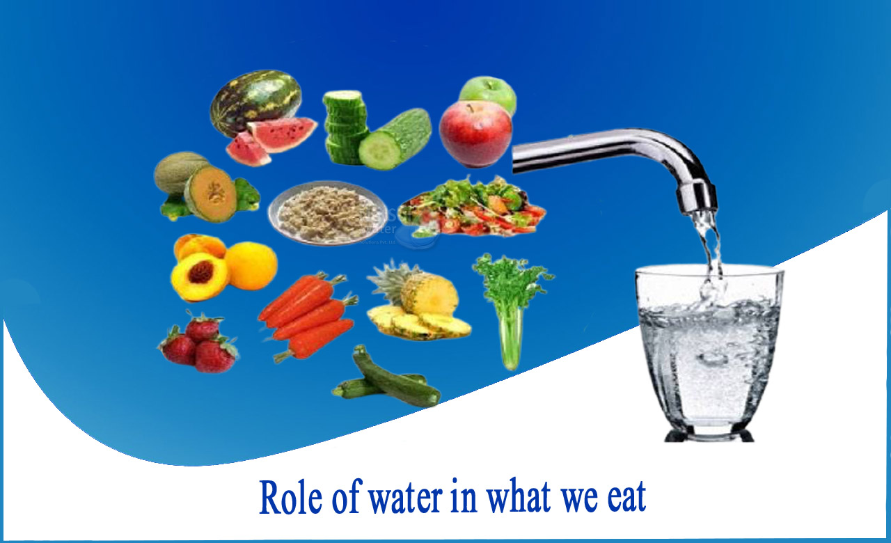 5 importance of water, what is the importance of water, functions of water in the body